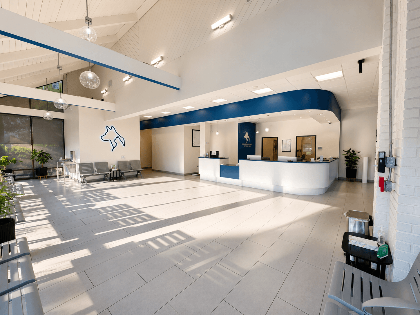 Modern veterinary clinic and animal hospital interior built by SE Builders