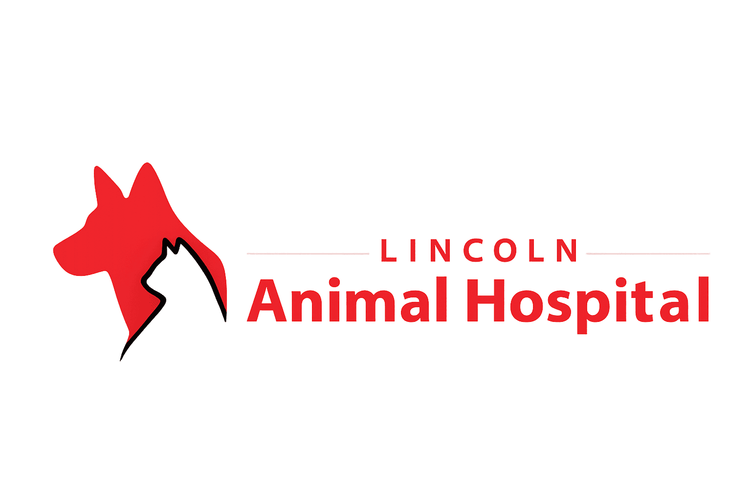 Lincoln Animal