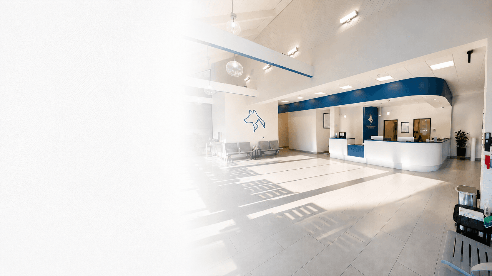 Modern veterinary clinic reception / lobby