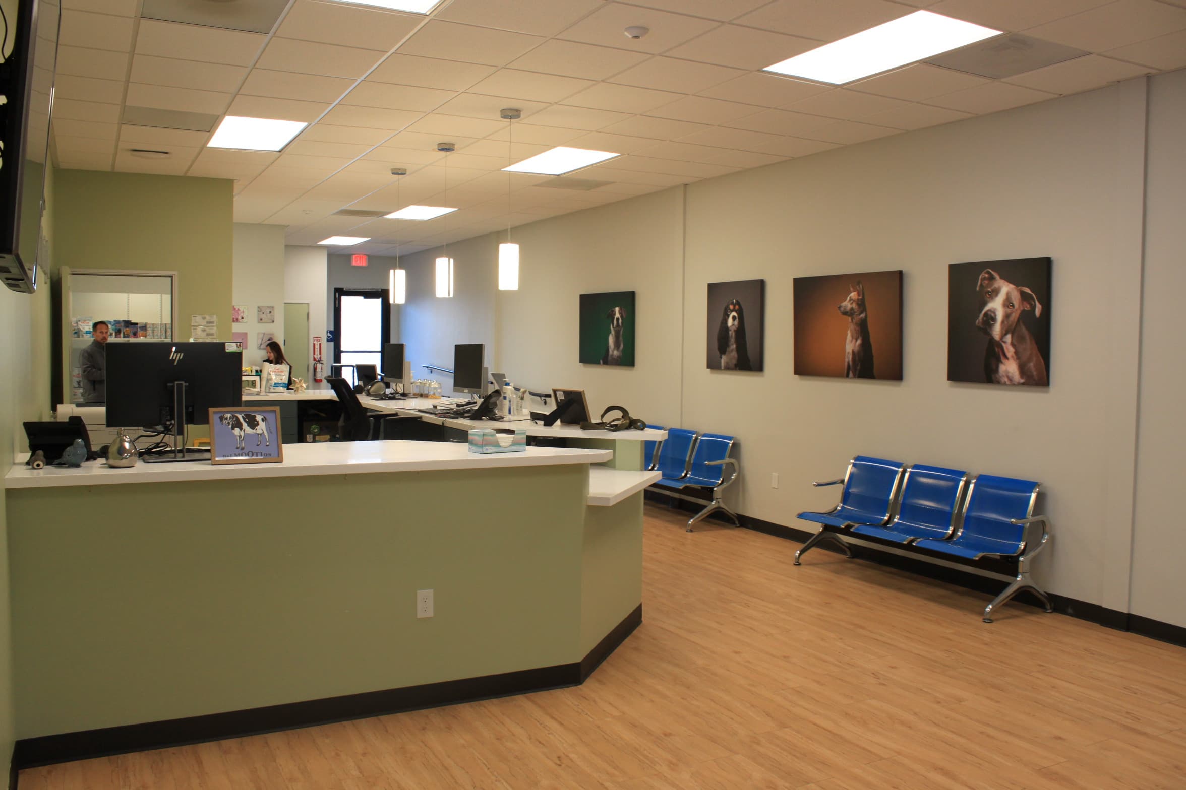 SE Builders veterinary construction project in progress